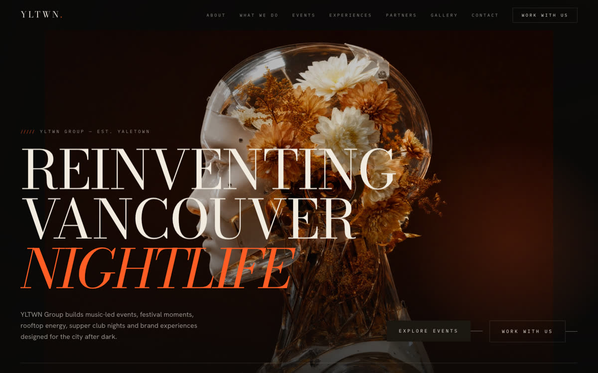 YLTWN website homepage